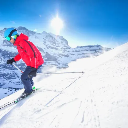 Apartman Allod Park Haus C 601 By Interhome Davos