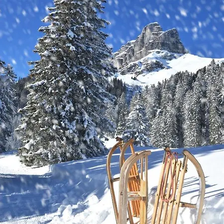 Apartman Allod Park Haus C 601 By Interhome Davos