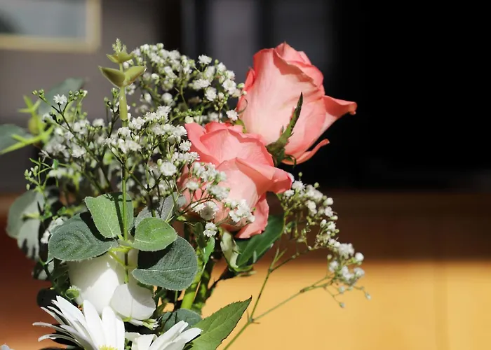 Allod Park Haus C 601 By Interhome Ostrava